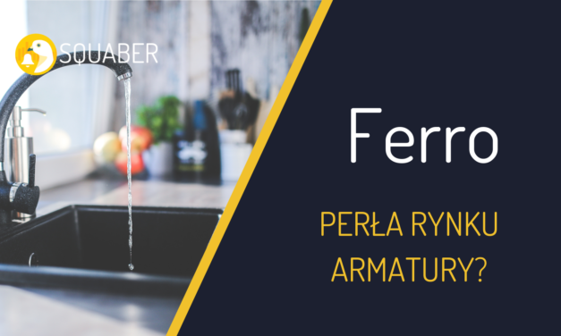 Ferro – Perła rynku armatury?