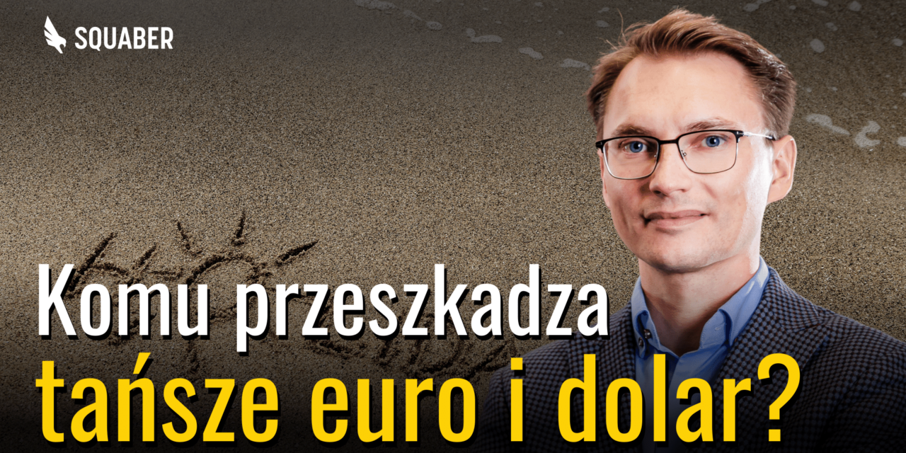 Kupować euro i dolary na wakacje? 5 spółek, które zyskają, jak polski złoty stanieje | 29.06.2023