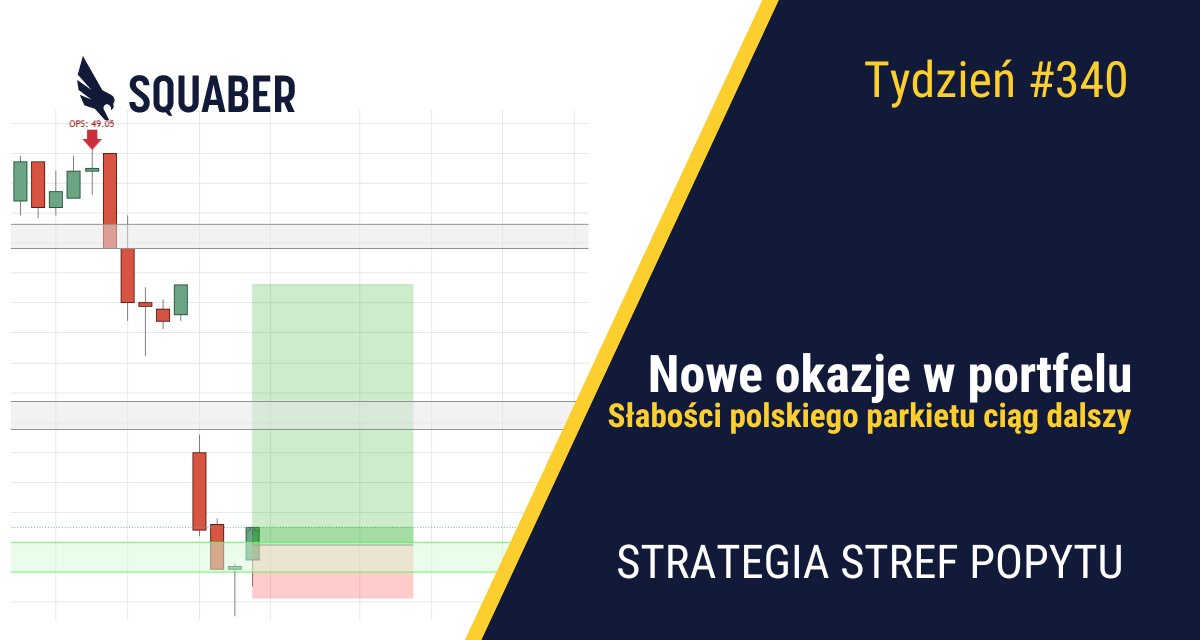 Rezygnacja Bidena i rotacja sektorowa na amerykańskim parkiecie| 340. tydzień Stref Popytu