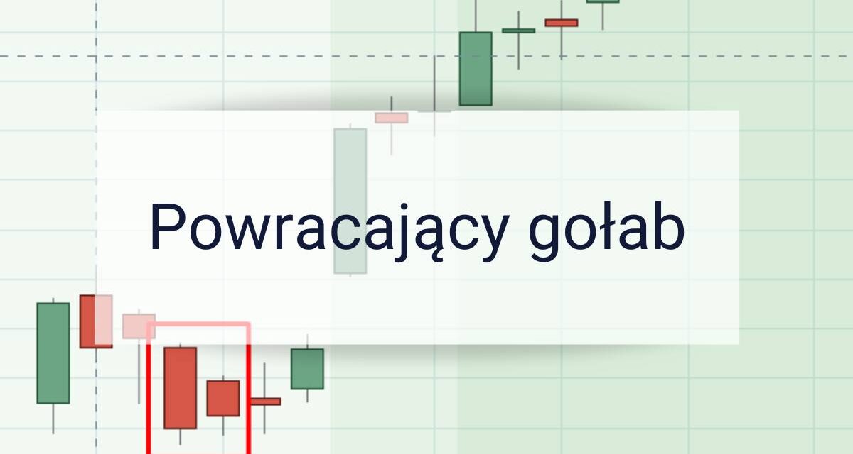 Formacja świecowa powracający gołąb