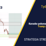 Technologiczna zima, logistyczny szok i celna odwilż| 421. tydzień Stref Popytu